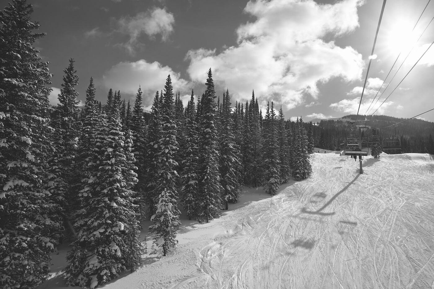 An empty lift line in the trees